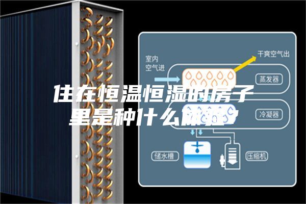 住在恒溫恒濕的房子里是種什么體驗(yàn)？