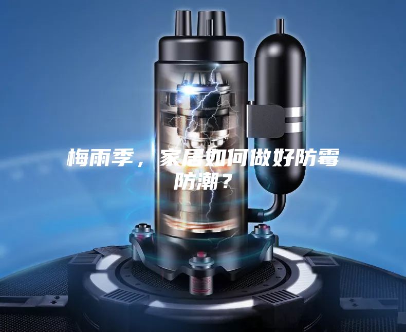 梅雨季，家居如何做好防霉防潮？