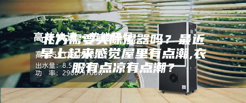 北方需要買除濕器嗎？最近早上起來感覺屋里有點(diǎn)潮,衣服有點(diǎn)涼有點(diǎn)潮？