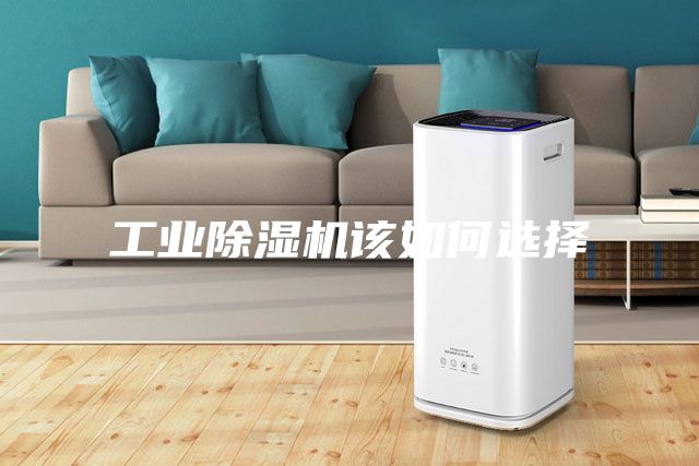工業(yè)除濕機(jī)該如何選擇