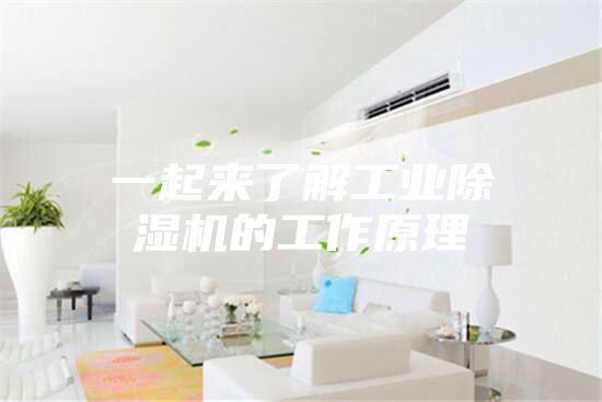 一起來了解工業(yè)除濕機(jī)的工作原理