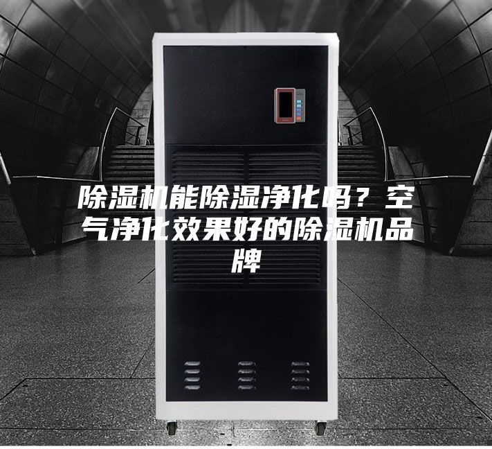 除濕機(jī)能除濕凈化嗎？空氣凈化效果好的除濕機(jī)品牌