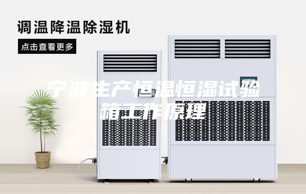 寧波生產(chǎn)恒溫恒濕試驗(yàn)箱工作原理