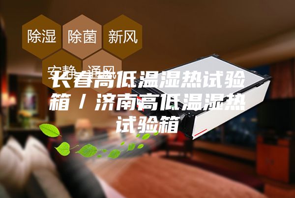 長(zhǎng)春高低溫濕熱試驗(yàn)箱／濟(jì)南高低溫濕熱試驗(yàn)箱