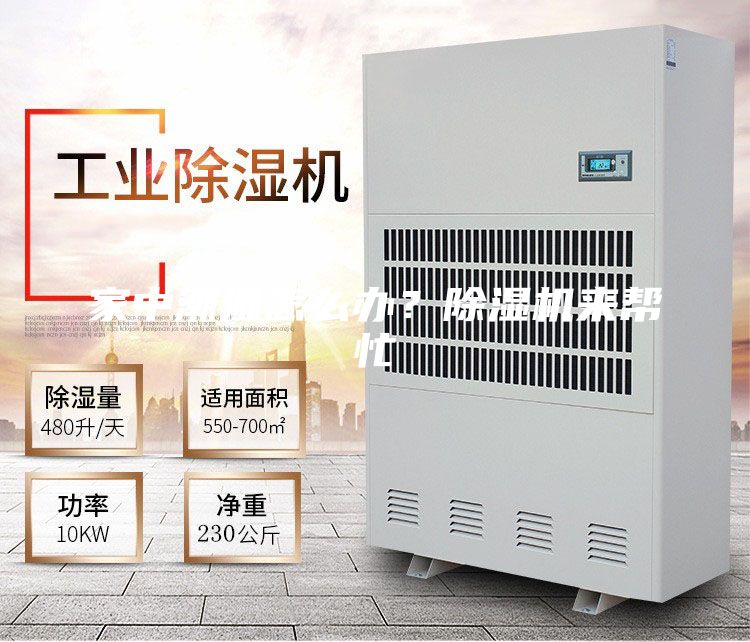 家中潮濕怎么辦？除濕機來幫忙