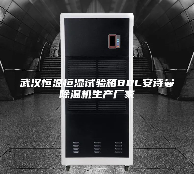 武漢恒溫恒濕試驗箱80L安詩曼除濕機生產(chǎn)廠家