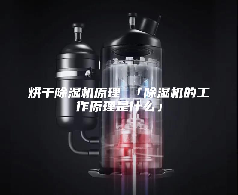 烘干除濕機(jī)原理 「除濕機(jī)的工作原理是什么」