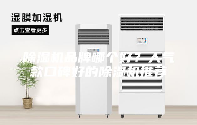 除濕機品牌哪個好？人氣款口碑好的除濕機推薦