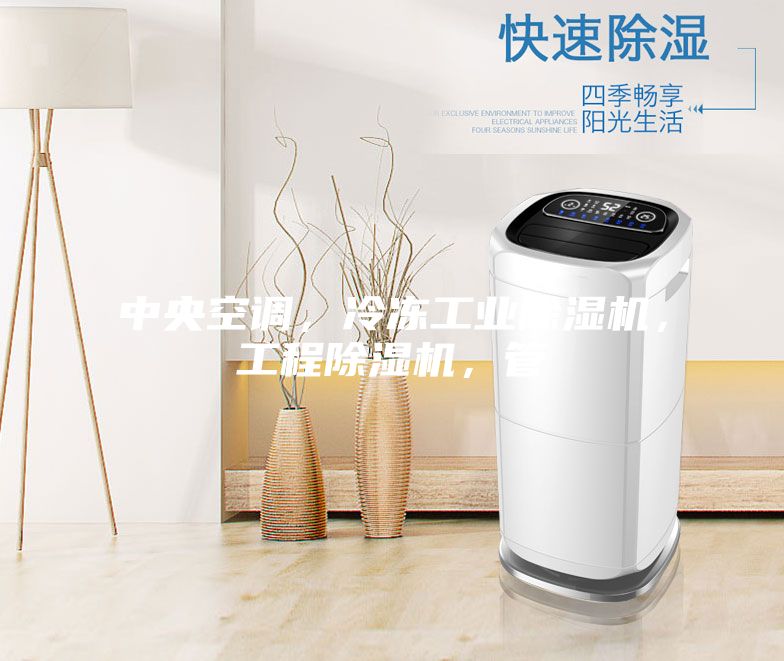 中央空調(diào)，冷凍工業(yè)除濕機(jī)，工程除濕機(jī)，管