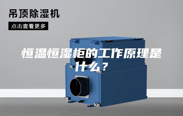 恒溫恒濕柜的工作原理是什么？