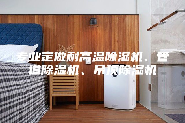 專業(yè)定做耐高溫除濕機(jī)、管道除濕機(jī)、吊頂除濕機(jī)