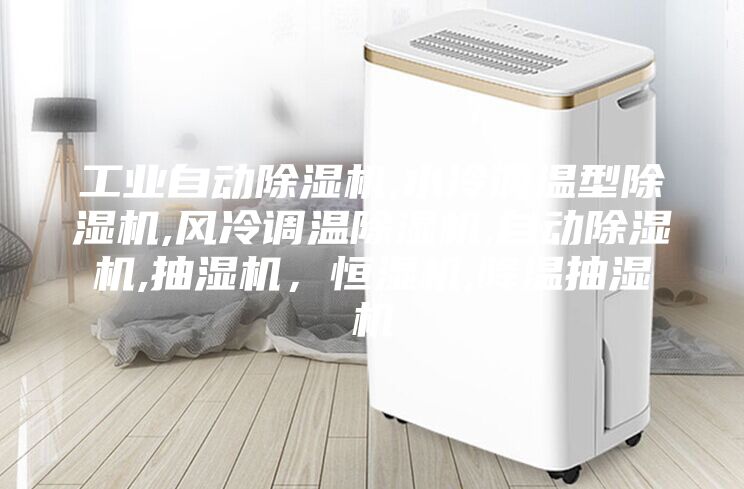 工業(yè)自動除濕機,水冷調(diào)溫型除濕機,風(fēng)冷調(diào)溫除濕機,自動除濕機,抽濕機，恒濕機,降溫抽濕機