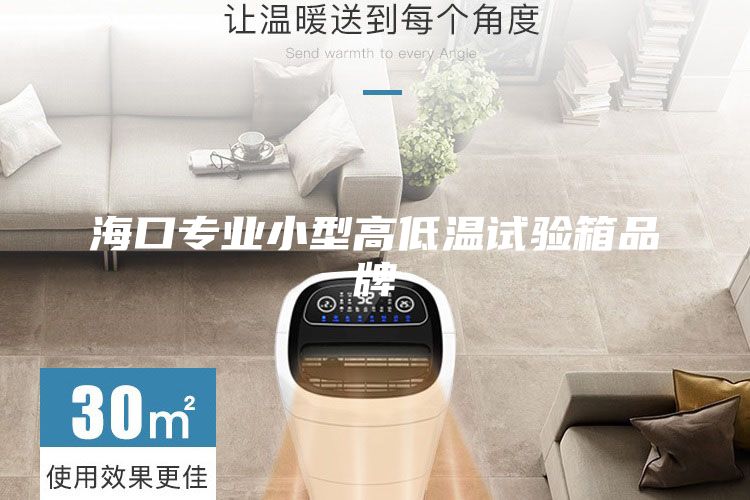 ?？趯I(yè)小型高低溫試驗(yàn)箱品牌