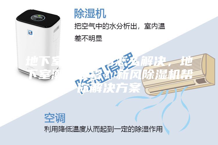 地下室潮濕發(fā)霉怎么解決，地下室潮濕發(fā)霉？新風除濕機幫你解決方案