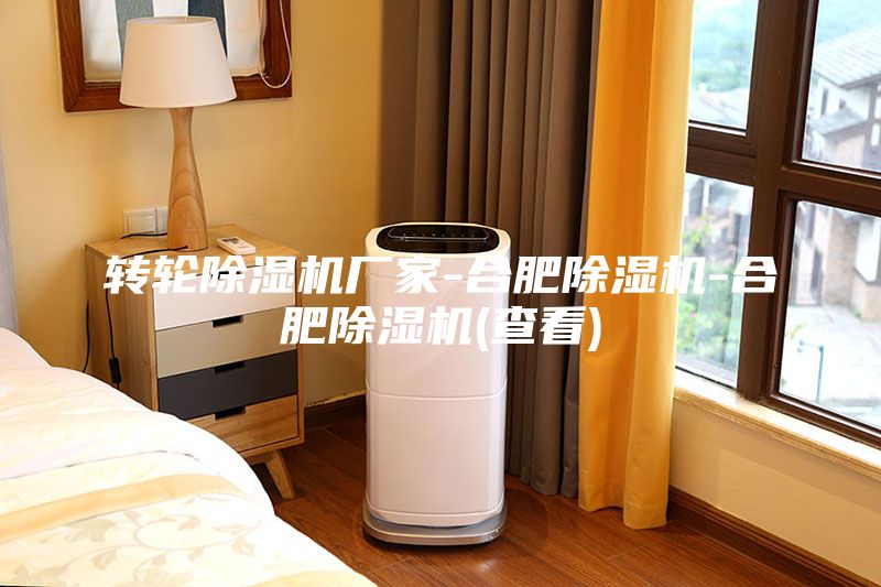 轉(zhuǎn)輪除濕機(jī)廠家-合肥除濕機(jī)-合肥除濕機(jī)(查看)