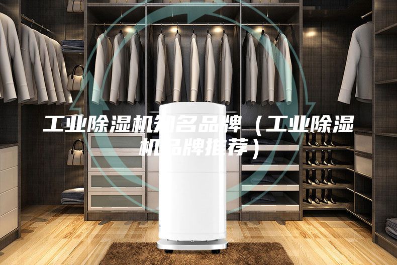 工業(yè)除濕機知名品牌（工業(yè)除濕機品牌推薦）