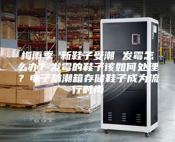 梅雨季 新鞋子受潮 發(fā)霉怎么辦？發(fā)霉的鞋子該如何處理？電子防潮箱存儲(chǔ)鞋子成為流行時(shí)尚