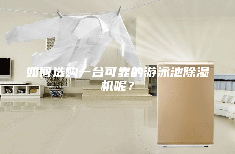 如何選購一臺可靠的游泳池除濕機呢？