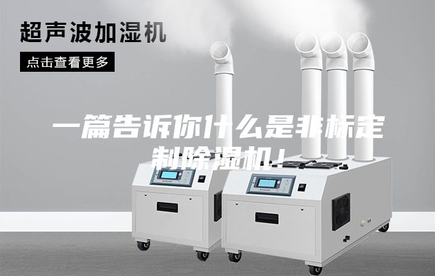 一篇告訴你什么是非標(biāo)定制除濕機(jī)！