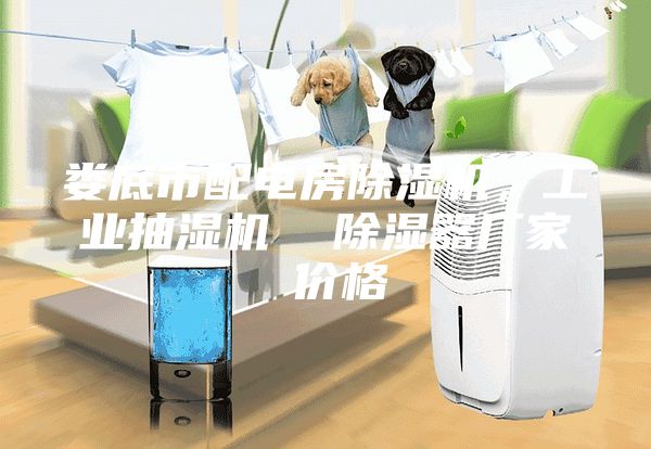 婁底市配電房除濕機(jī)，工業(yè)抽濕機(jī)  除濕器廠家 價格