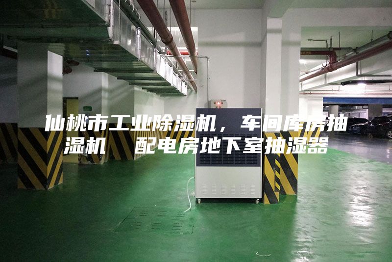 仙桃市工業(yè)除濕機(jī)，車間庫房抽濕機(jī)  配電房地下室抽濕器