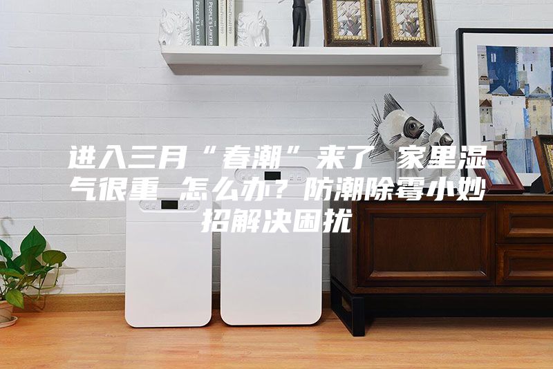進入三月“春潮”來了 家里濕氣很重 怎么辦？防潮除霉小妙招解決困擾