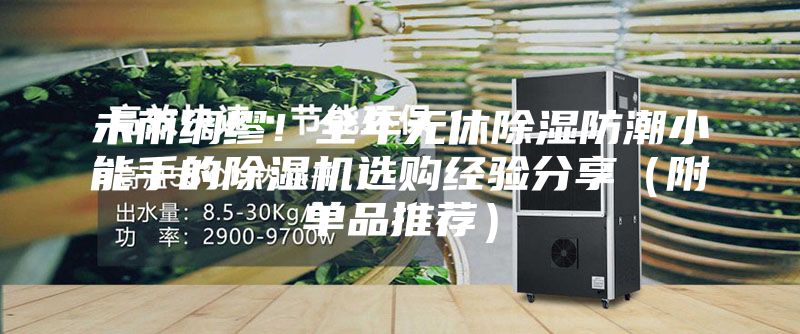 未雨綢繆！全年無休除濕防潮小能手的除濕機(jī)選購經(jīng)驗分享（附單品推薦）