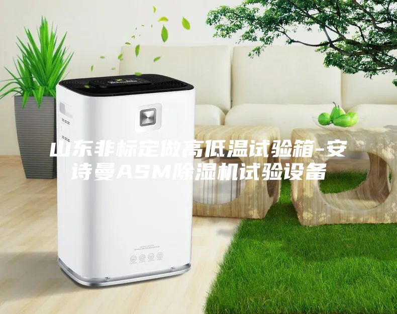 山東非標(biāo)定做高低溫試驗箱-安詩曼ASM除濕機試驗設(shè)備
