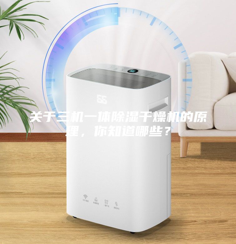 關于三機一體除濕干燥機的原理，你知道哪些？