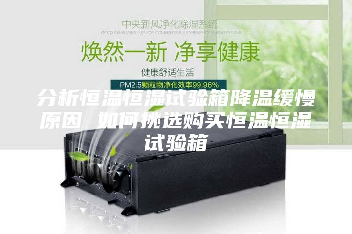 分析恒溫恒濕試驗(yàn)箱降溫緩慢原因 如何挑選購(gòu)買恒溫恒濕試驗(yàn)箱
