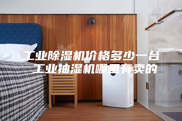 工業(yè)除濕機(jī)價(jià)格多少一臺 工業(yè)抽濕機(jī)哪里有賣的
