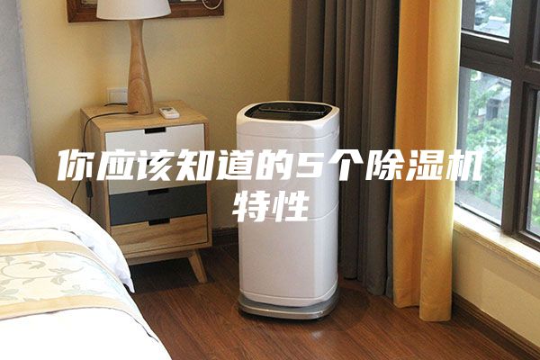 你應(yīng)該知道的5個(gè)除濕機(jī)特性