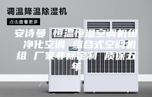 安詩(shī)曼 恒溫恒濕空調(diào)機(jī)組 凈化空調(diào) 組合式空調(diào)機(jī)組 廠家非標(biāo)定制 質(zhì)保五年