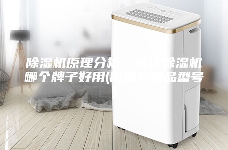 除濕機原理分析，解讀除濕機哪個牌子好用(附推薦精品型號)