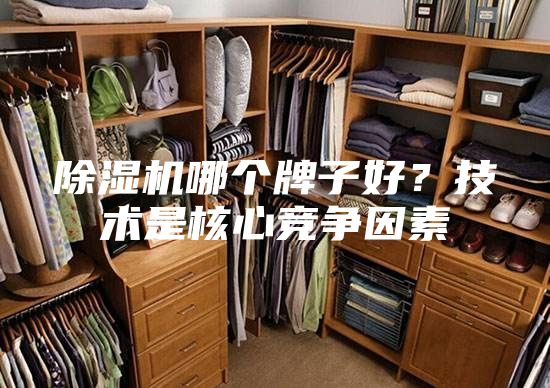 除濕機(jī)哪個(gè)牌子好？技術(shù)是核心競(jìng)爭(zhēng)因素