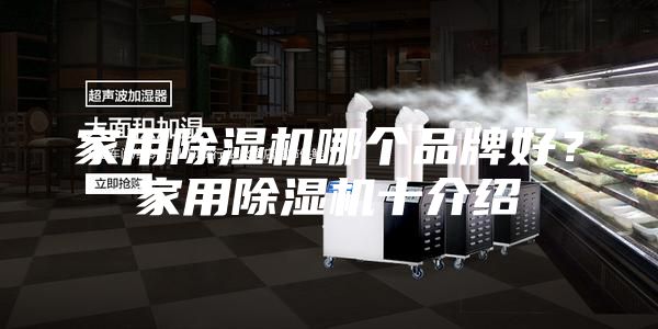 家用除濕機(jī)哪個品牌好？家用除濕機(jī)十介紹