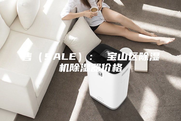 售（SALE）： 寶山區(qū)除濕機除濕器價格