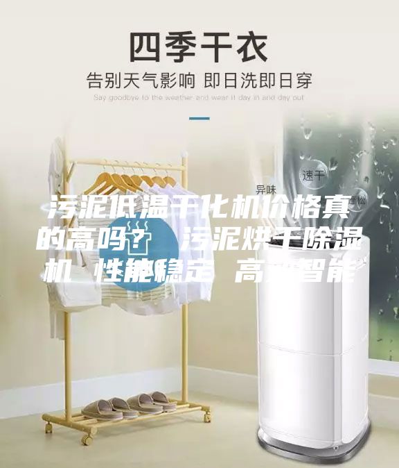 污泥低溫干化機價格真的高嗎？ 污泥烘干除濕機 性能穩(wěn)定 高效智能