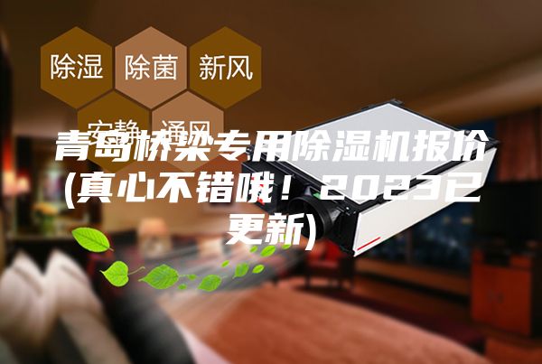 青島橋梁專用除濕機(jī)報(bào)價(jià)(真心不錯(cuò)哦！2023已更新)