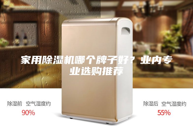 家用除濕機哪個牌子好？業(yè)內(nèi)專業(yè)選購?fù)扑]