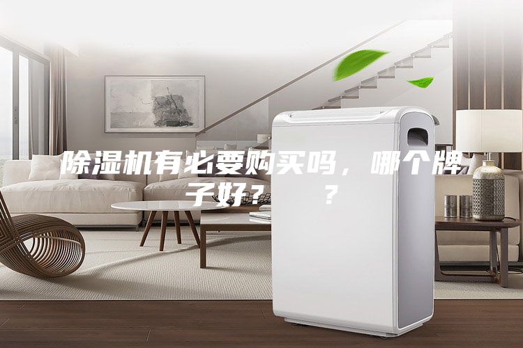 除濕機有必要購買嗎，哪個牌子好？  ？