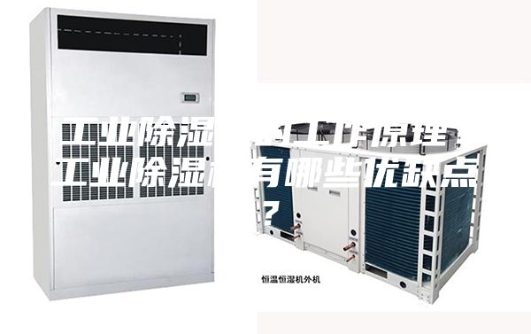 工業(yè)除濕機(jī)的工作原理？工業(yè)除濕機(jī)有哪些優(yōu)缺點(diǎn)？