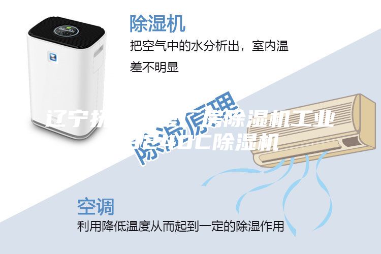 遼寧撫順大型廠房除濕機(jī)工業(yè)級9240C除濕機(jī)