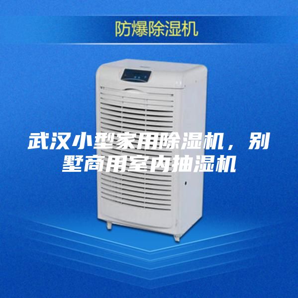 武漢小型家用除濕機(jī)，別墅商用室內(nèi)抽濕機(jī)