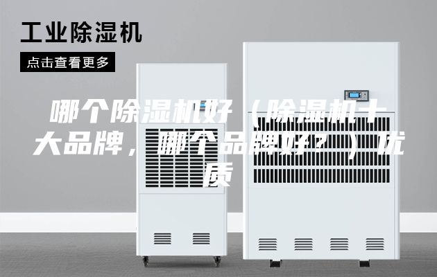 哪個(gè)除濕機(jī)好（除濕機(jī)十大品牌，哪個(gè)品牌好？）優(yōu)質(zhì)