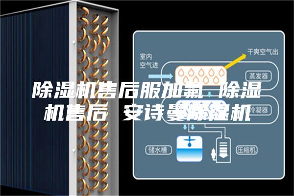 除濕機(jī)售后服加氟 除濕機(jī)售后 安詩曼除濕機(jī)