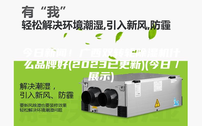 今日新聞！廣西雙轉(zhuǎn)輪除濕機(jī)什么品牌好(2023已更新)(今日／展示)
