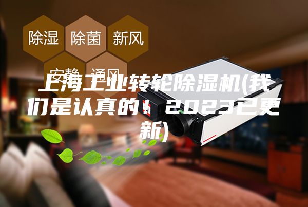 上海工業(yè)轉輪除濕機(我們是認真的！2023已更新)