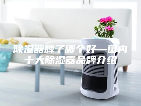 除濕器牌子哪個(gè)好—國(guó)內(nèi)十大除濕器品牌介紹