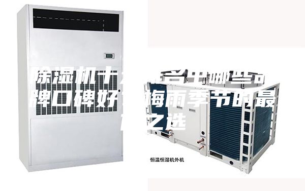 除濕機(jī)十大排名中哪些品牌口碑好？梅雨季節(jié)的最佳之選